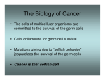 Introduction Lecture The Biology of Cancer