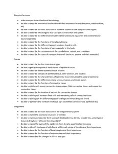 Blueprint for exam make sure you know directional terminology be