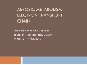 Aerobic Metabolism ii: electron transport chain