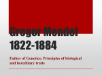 Gregor Mendel 1822-1884