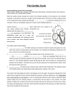 The Cardiac Cycle