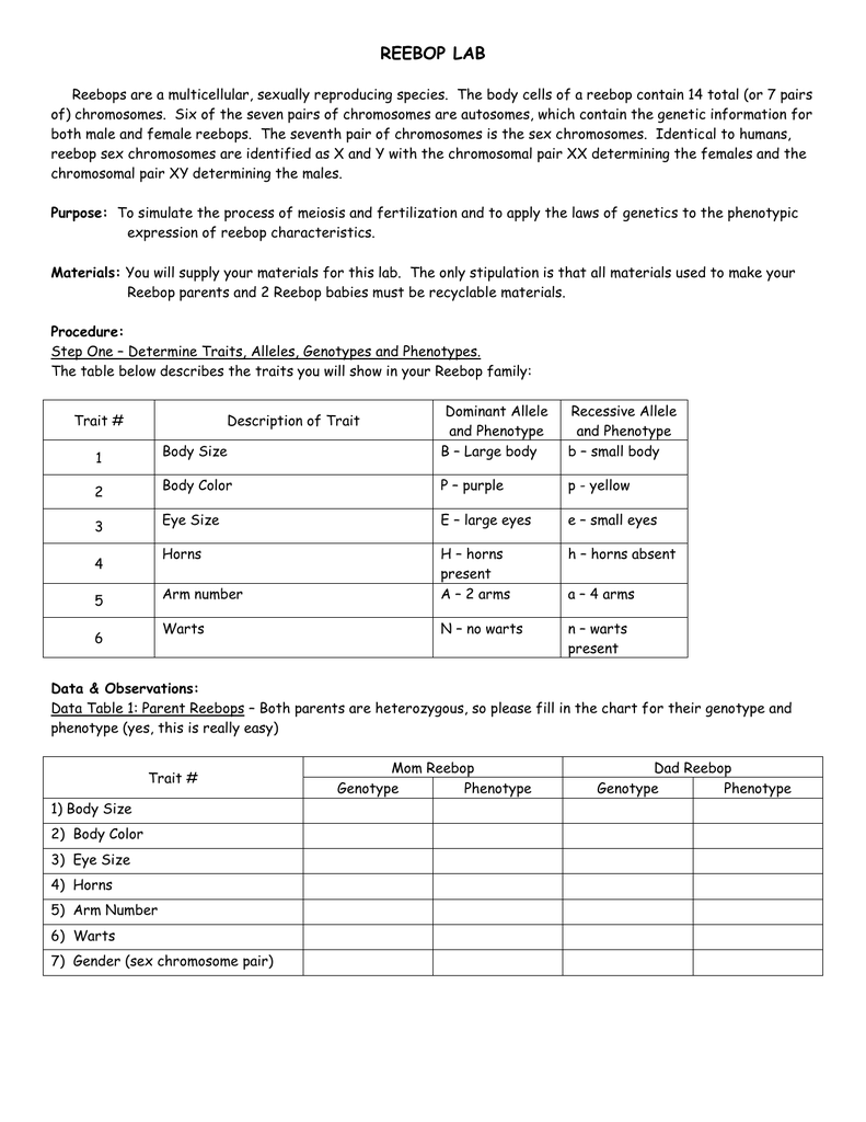 Genotype And Phenotype Chart