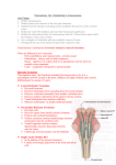 Neuroscience 14a – Introduction to Consciousness