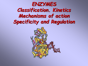 Enzyme. Kinetics Mechanisms of enzyme action Specificity and