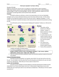 Immune System Cartoon Strip