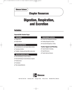 Chapter 14 Resource: Digestion, Respiration, and Excretion