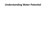 Understanding Water Potential