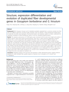 Structure, expression differentiation and evolution of duplicated fiber