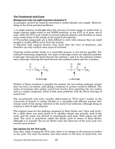 The Tricarboxylic Acid Cycle Background - Rose