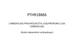 PTHR18866 CARBOXYLASE:PYRUVATE/ACETYL
