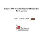 DNA Mismatch Repair in Endometrial Cancers