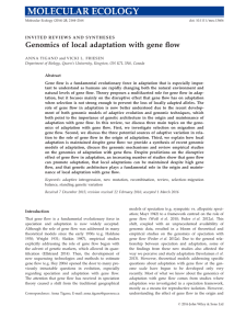 Genomics of local adaptation with gene flow