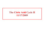 The Citric acid cycle