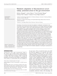 Metabolic adaptation of Mycobacterium avium subsp