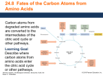 24.8 Fates of the Carbon Atoms from Amino Acids