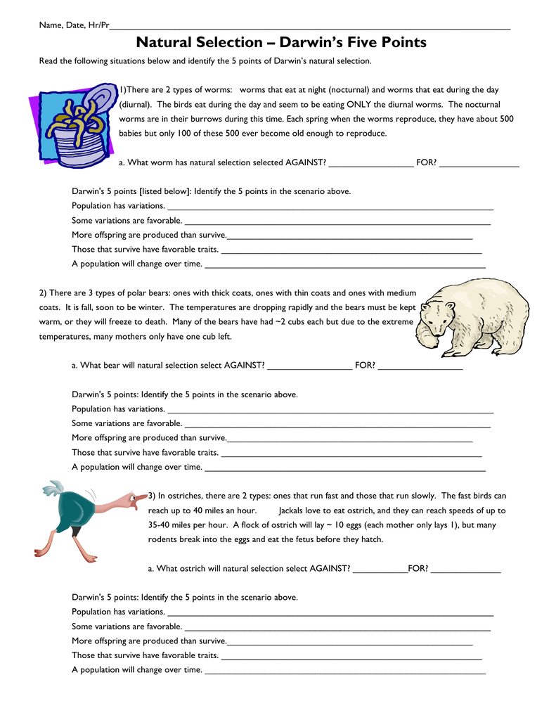 Darwin Natural Selection Worksheet