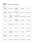 Matching Geometry - Vocabulary for Fall Midterm Vocab