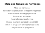 Male sex hormones