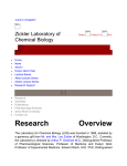 CURRICULUM VITAE - Laboratory for Chemical Biology