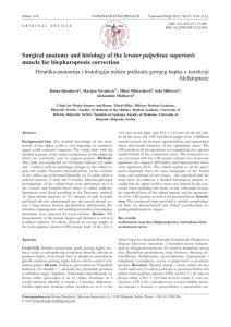 Surgical anatomy and histology of the levator palpebrae superioris