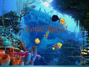 Coral-Reefs-Slideshow