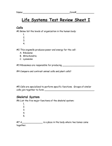 Study Guide for Life Systems Test