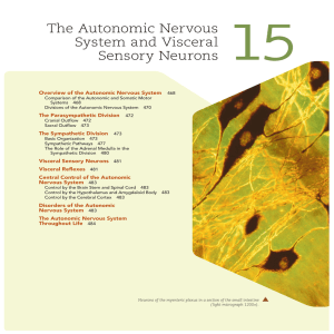 The Autonomic Nervous System and Visceral Sensory Neurons 15