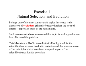 Exercise 11 Natural Selection and Evolution