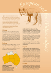 European red fox (Vulpes vulpes) - Natural Resources South Australia
