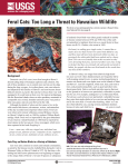 Feral Cats: Too Long a Threat to Hawaiian Wildlife