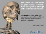You have 24 vertebrae in your spinal column. Two are special