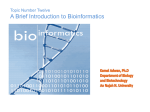 An Introduction to Bioinformatics - E-Learning/An