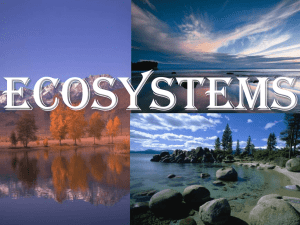 Ecosystems