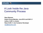 A Look Inside the Java Community Process