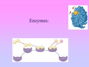 Enzyme Activity