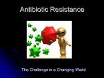 Antibiotic Resistance - Effingham County Schools