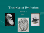 Theories of Evolution