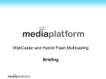 The significance of Hybrid Flash Multicasting