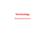 Directional Terms cont