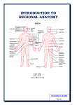 INTRODUCTION TO REGIONAL ANATOMY