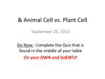 Animal Cell vs. Plant Cell