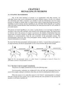 CHAPTER 5 SIGNALLING IN NEURONS