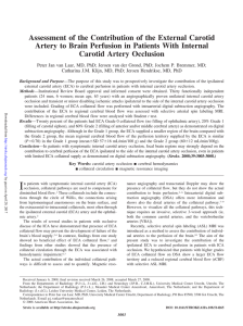 Assessment of the Contribution of the External Carotid