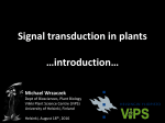 Signal transduction in plants