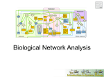 Biological Network Analysis