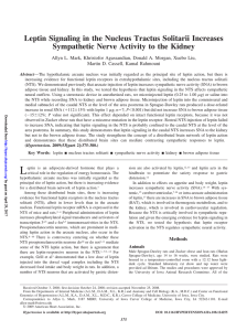 Leptin Signaling in the Nucleus Tractus Solitarii
