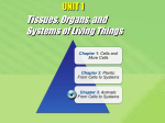 3.1 Cells and Tissues File