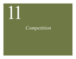 Ch11 Lecture 1.competition