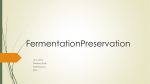 Fermentation Preservation
