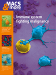 Immune system fighting malignancy